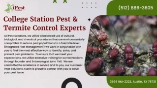 Termite Control Experts - Ipestpros