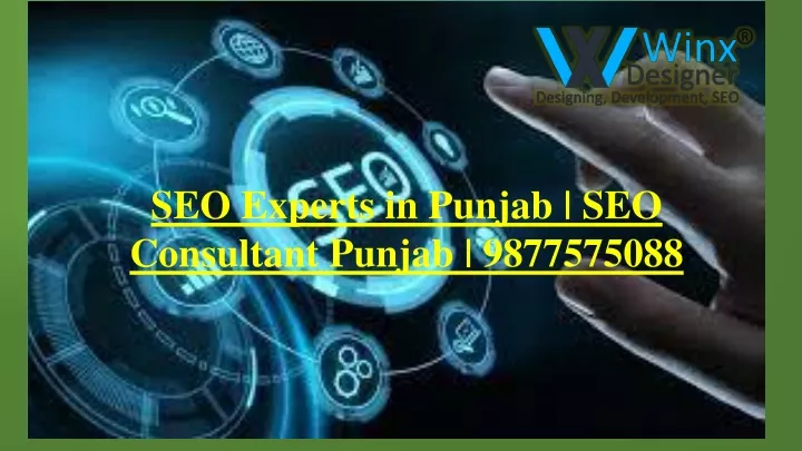 seo experts in punjab seo consultant punjab