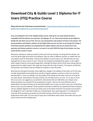download city guilds level 1 diploma for it users