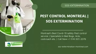 Pest Control Montreal  SOS Extermination