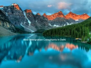 Best Immigration Consultants In Delhi