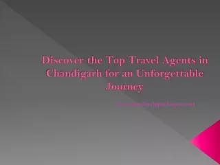 Discover the Top Travel Agents in Chandigarh for an Unforgettable Journey