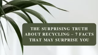 7 Recycling Facts: Learn Everything You Need To Know
