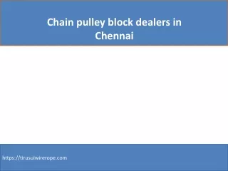 chain pulley block dealers in chennai
