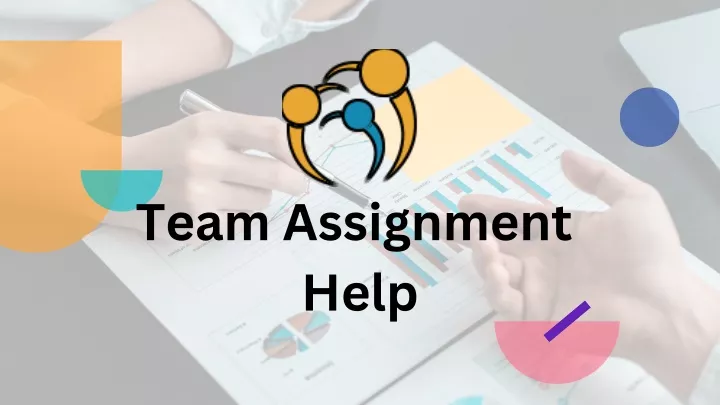 team assignment help