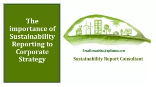 the importance of sustainability reporting to corporate strategy