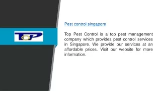 pest control singapore top pest control