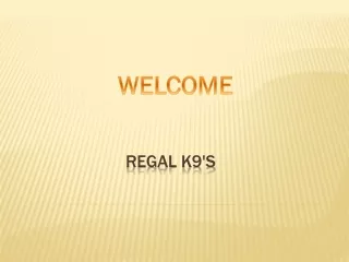 regal k9 s