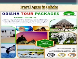Travel Agent in Odisha