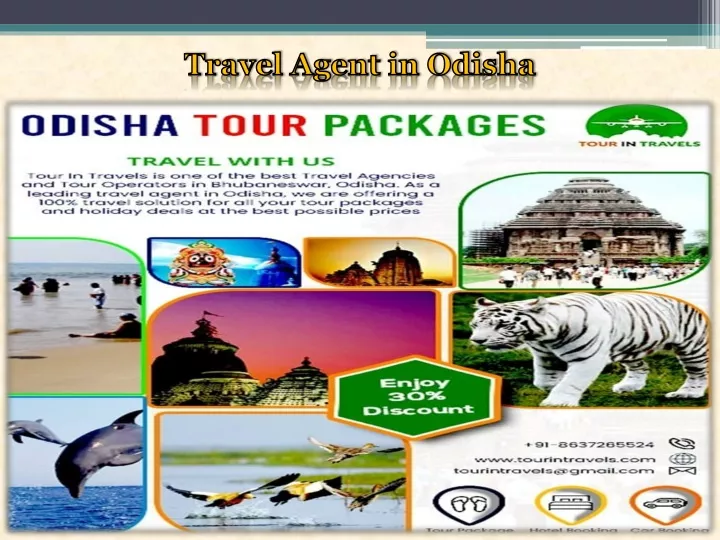 travel agent in odisha