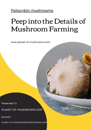 Peep into the Details of Psilocybin mushrooms Farming