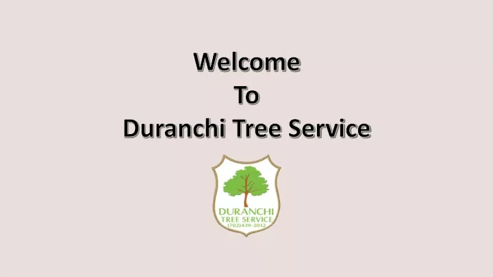 welcome to duranchi tree service