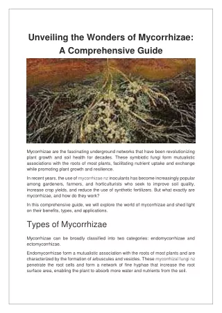 unveiling the wonders of mycorrhizae