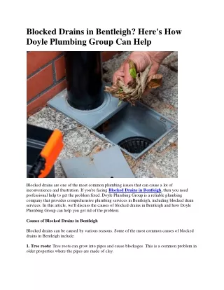 Blocked Drains in Bentleigh Here How Doyle Plumbing Group Can Help
