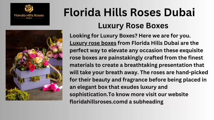 florida hills roses dubai luxury rose boxes