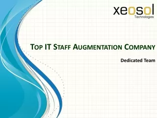 Top IT Staff Augmentation Company | USA | Norway