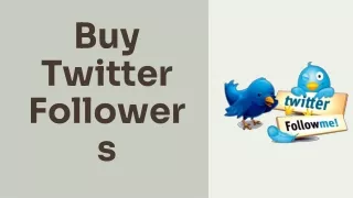 Buy Twitter Followers | AlwaysViral.In