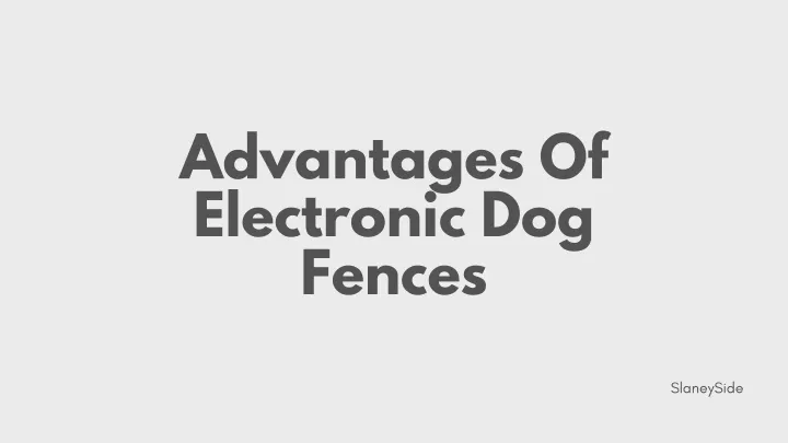 advantages of electronic dog fences