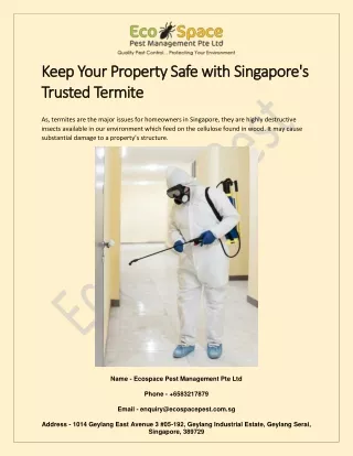 KEEP YOUR PROPERTY SAFE WITH SINGAPORE’S TRUSTED TERMITE