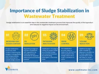 Importance of Sludge Stabilization in Wastewater Treatment