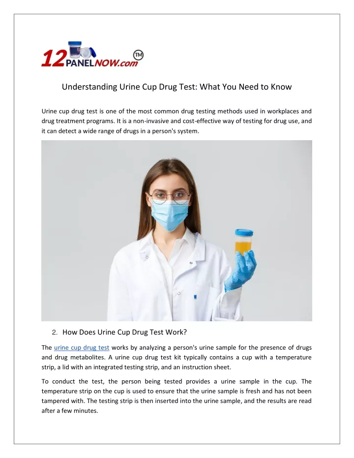 understanding urine cup drug test what you need