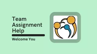 team assignment help