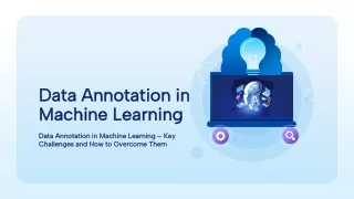 Data Annotation in Machine Learning – Key Challenges and How to Overcome Them
