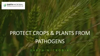 Protect crops & plants from pathogens  Earth Microbial
