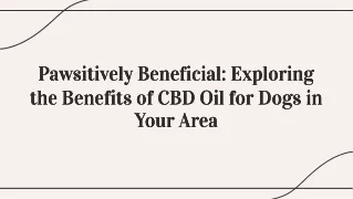 wepik-pawsitively-beneficial-exploring-the-benefits-of-cbd-oil-for-dogs-in-your-area
