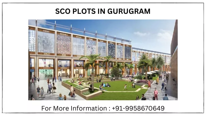 sco plots in gurugram