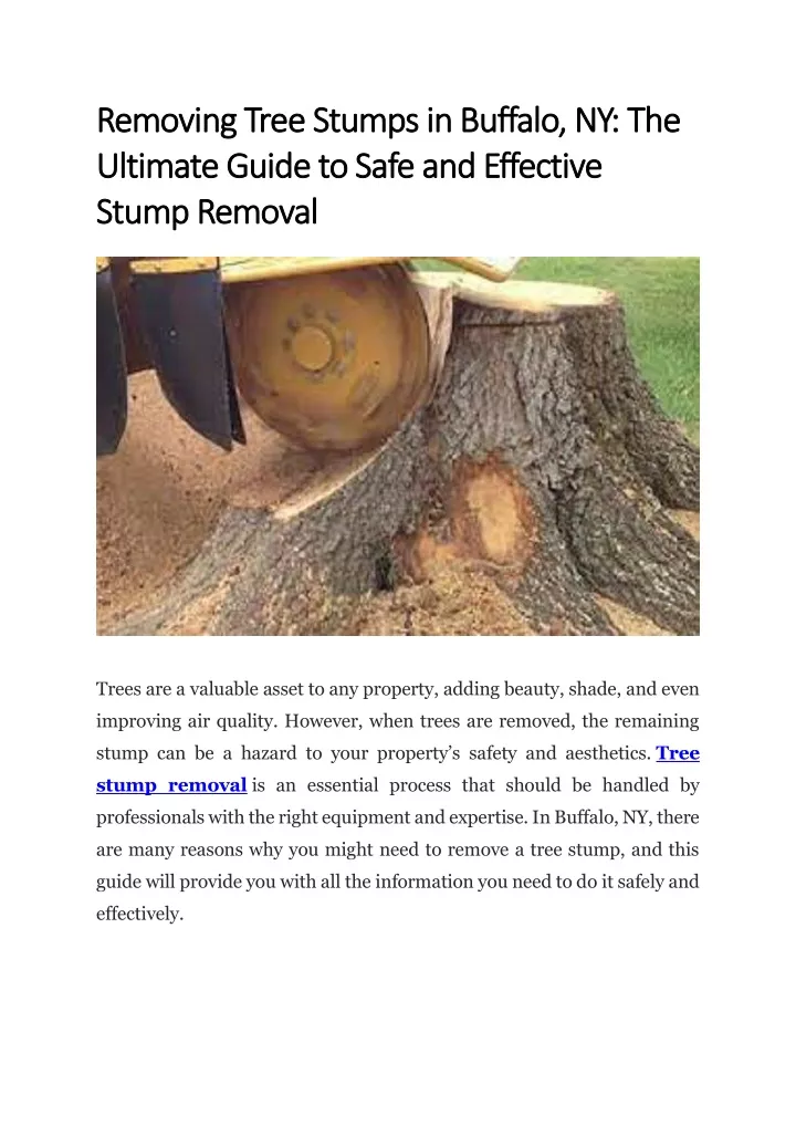 removing tree stumps in buffalo ny the removing