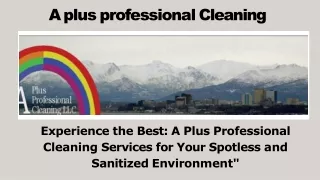 Experience the Best: A Plus Professional Cleaning Services for Your Spotless an