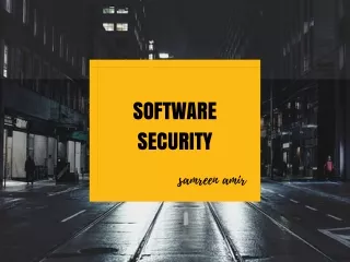 software security