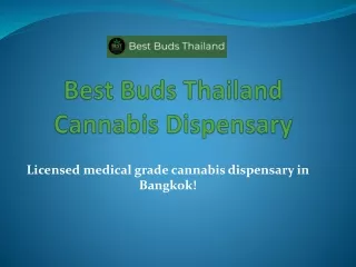 Best Buds - Cannabis Store Bangkok