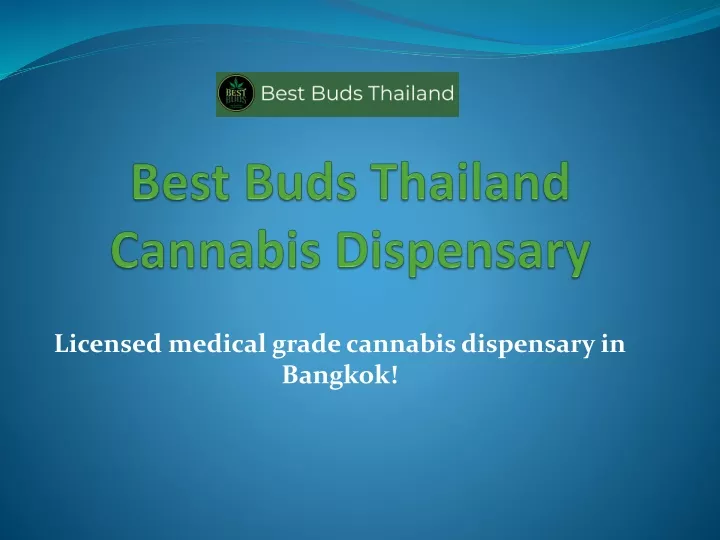 best buds thailand cannabis dispensary