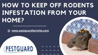 How to Keep Off Rodents Infestation From Your Home?