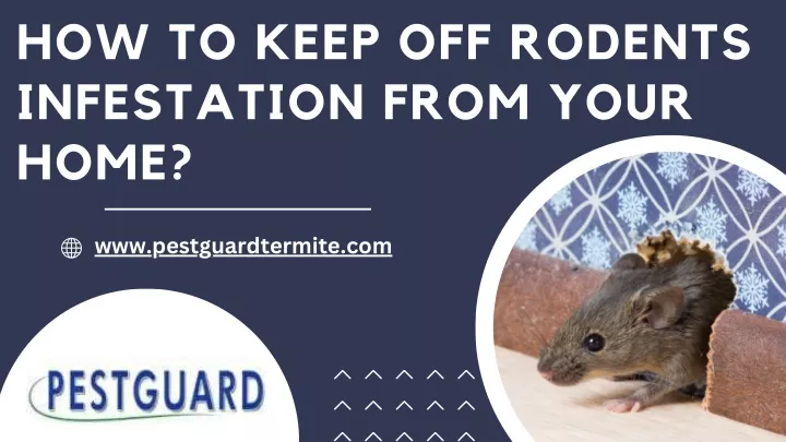 how to keep off rodents infestation from your home