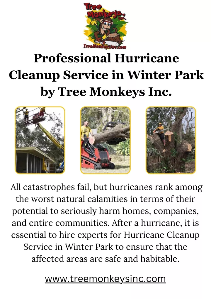 professional hurricane cleanup service in winter