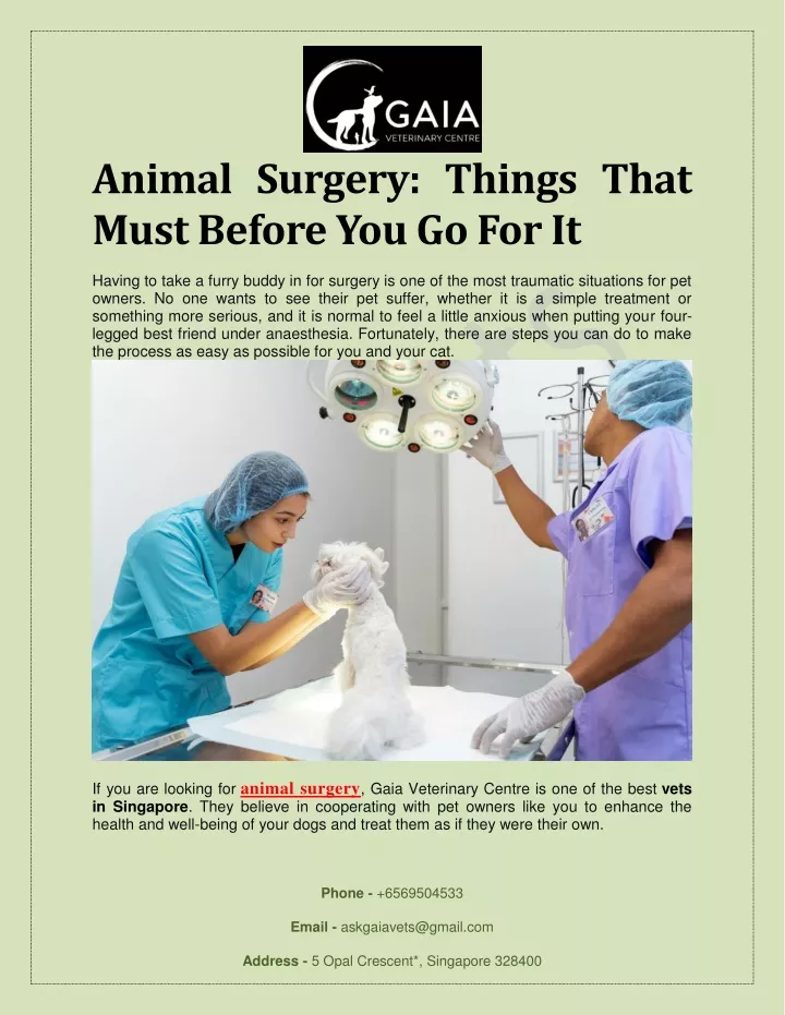 animal surgery things that must before