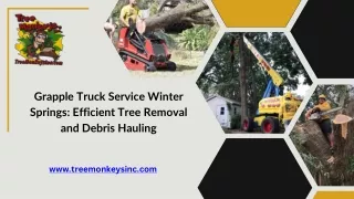 Grapple Truck Service Winter Springs Efficient Tree Removal and Debris Hauling