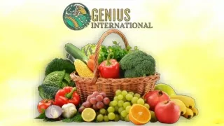 Fresh Vegetables Supplier in Rajkot, Organic Vegetable Exporters in Rajkot, Ind