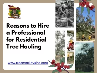 Reasons to Hire a Professional for Residential Tree Hauling