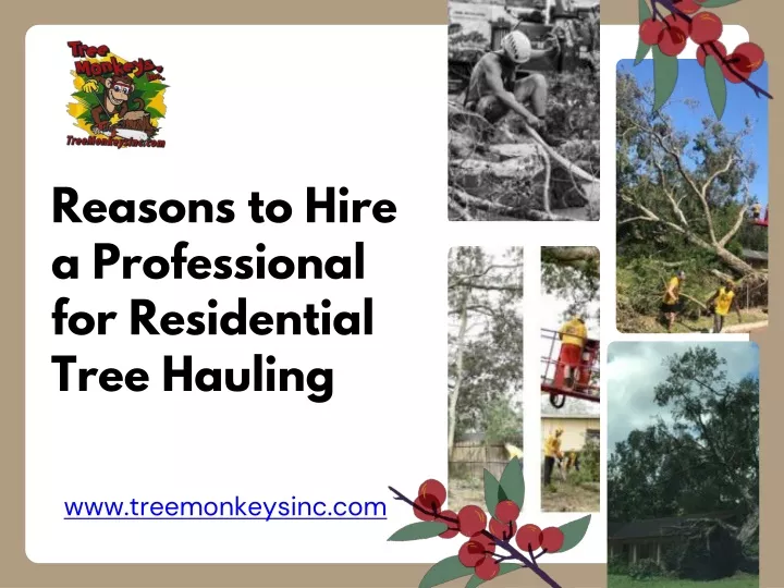 reasons to hire a professional for residential