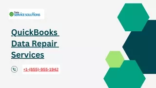 quickbooks data repair services