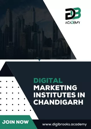 Best Digital Marketing Institutes in Chandigarh - DIGI Brooks Academy