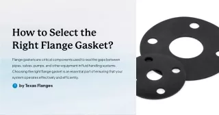 How to Select the Right Flange Gasket