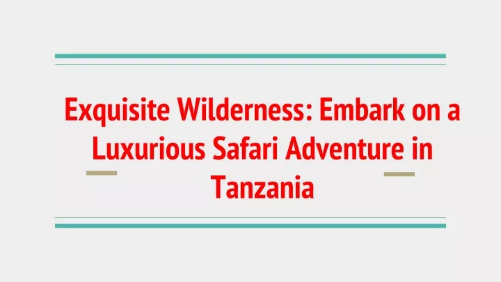 exquisite wilderness embark on a luxurious safari adventure in tanzania