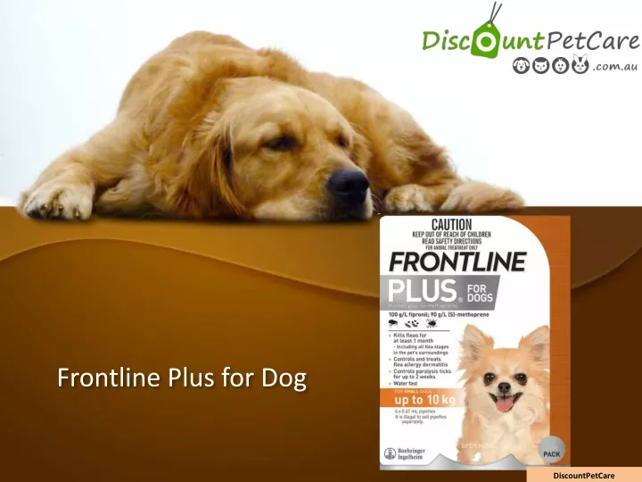 frontline plus for dog