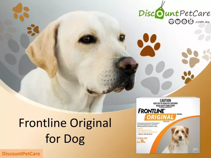 frontline original for dog