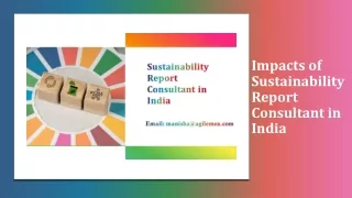 impacts of sustainability report consultant in india